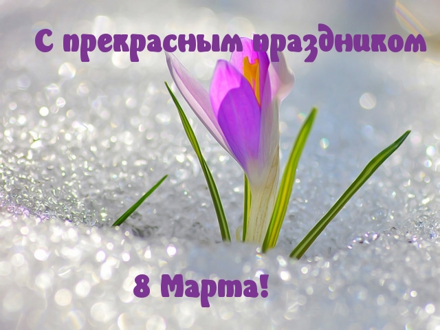 �������� � ��������: 8 �����