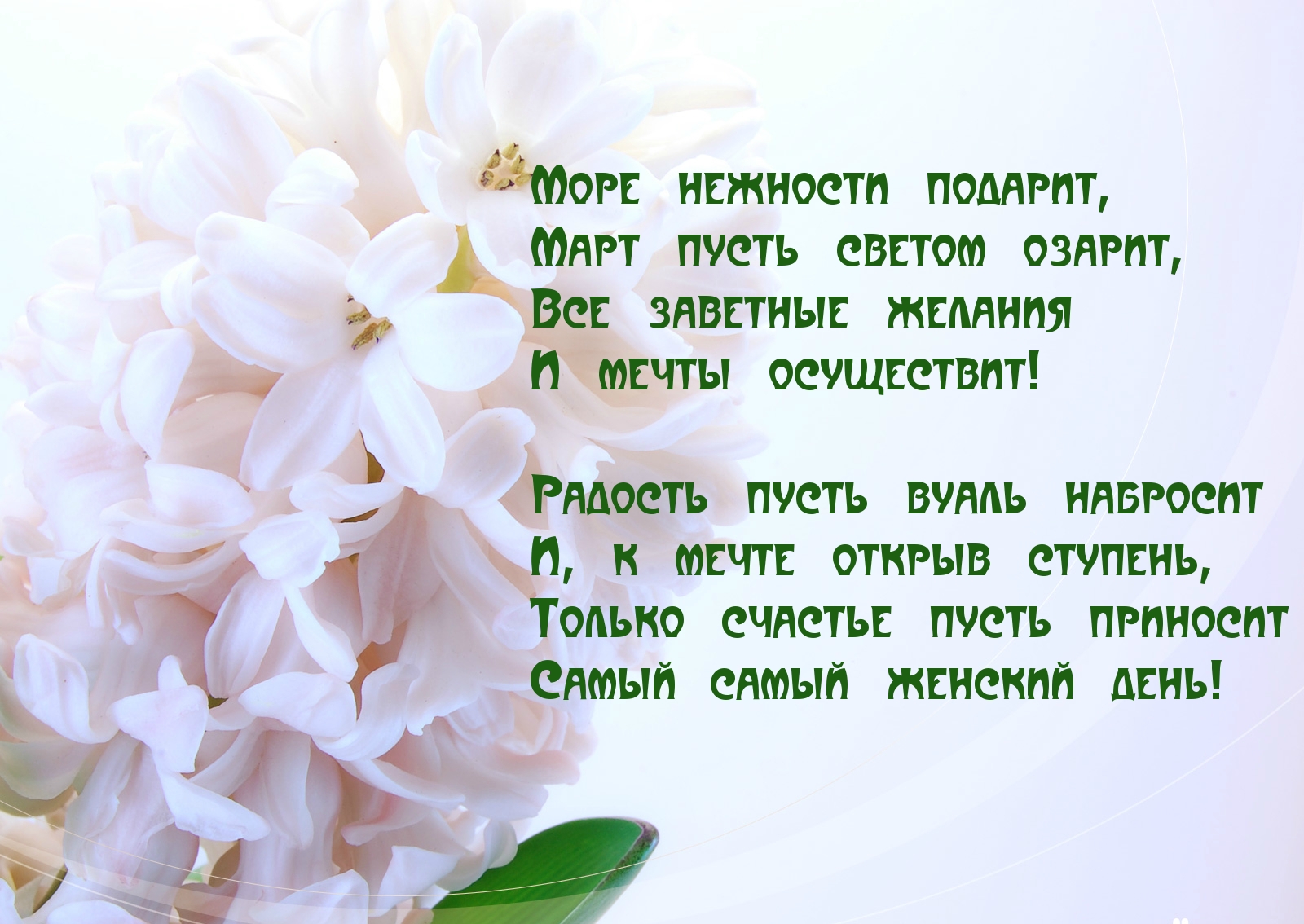 �������� � ��������: � ������� ����!