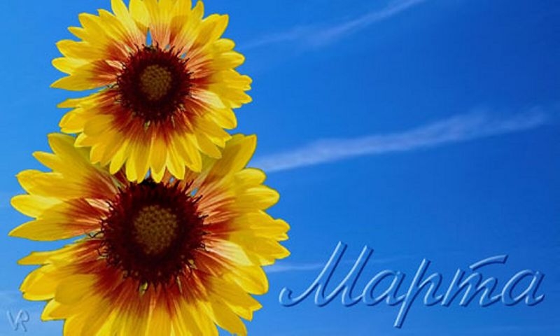 �������� � ��������: 8 �����