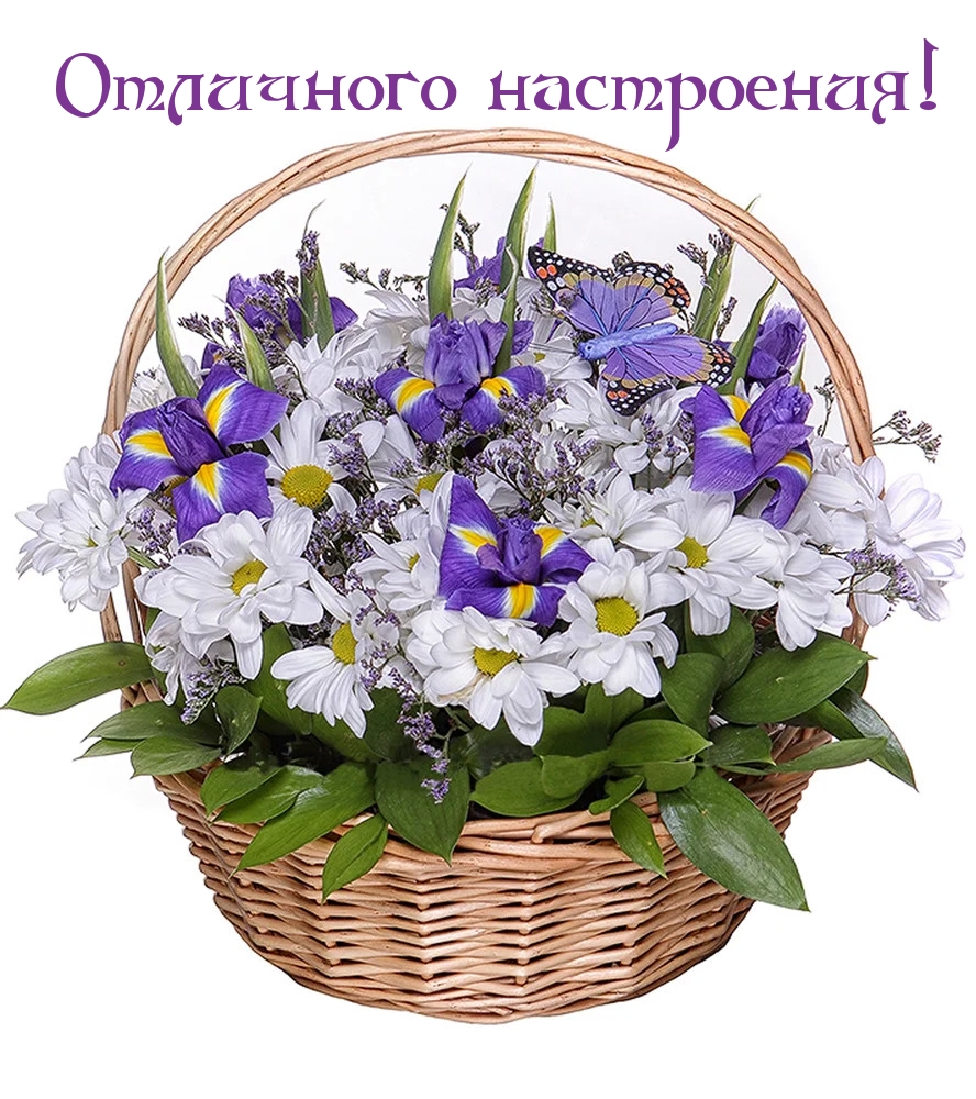 Картинки с надписями "Пожелания" - 6 стр.