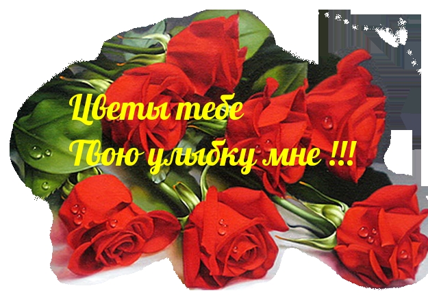 Для твоей улыбки гиф. Песня на день учителя текст. Улыбки и цветы тебе учитель слова. В этот день весной согретый все цветы улыбки вам. Ютуб прекрасное слово учитель.