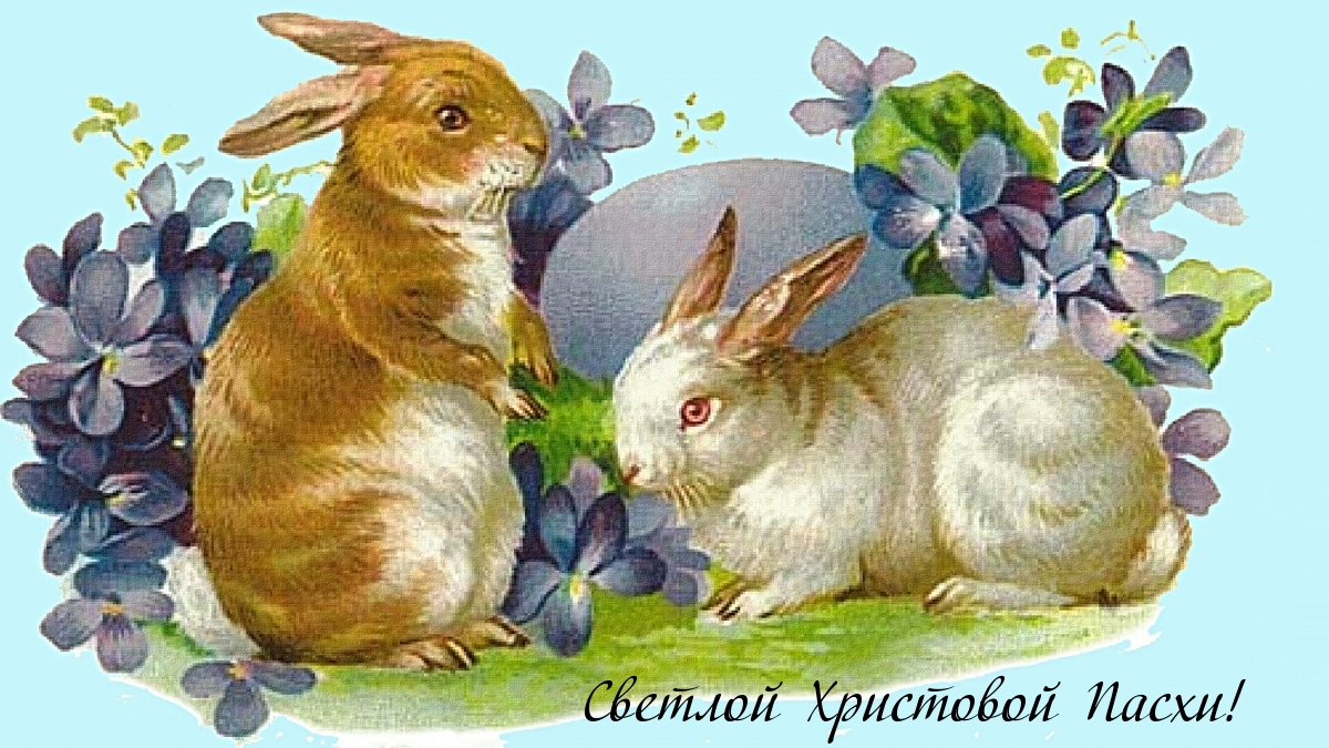 Картинка с надписью: Светлой Христовой Пасхи!