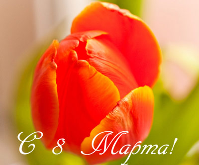 �������� � ��������: � 8 �����