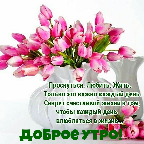 Картинки с надписями. Доброе утро!.
