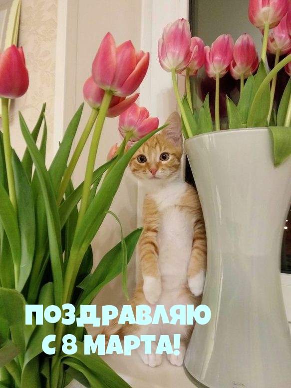 �������� � ��������: ���������� � 8 �����!