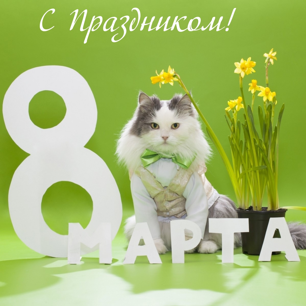 �������� � ��������: � ����������! 8 �����