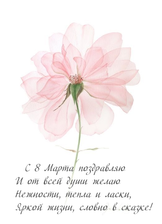 �������� � ��������: � 8 ����� ����������! ����� �����, ������ � ������!