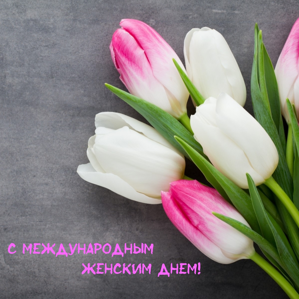 �������� � ��������: � ������������� ������� ����! ����-������� ��������