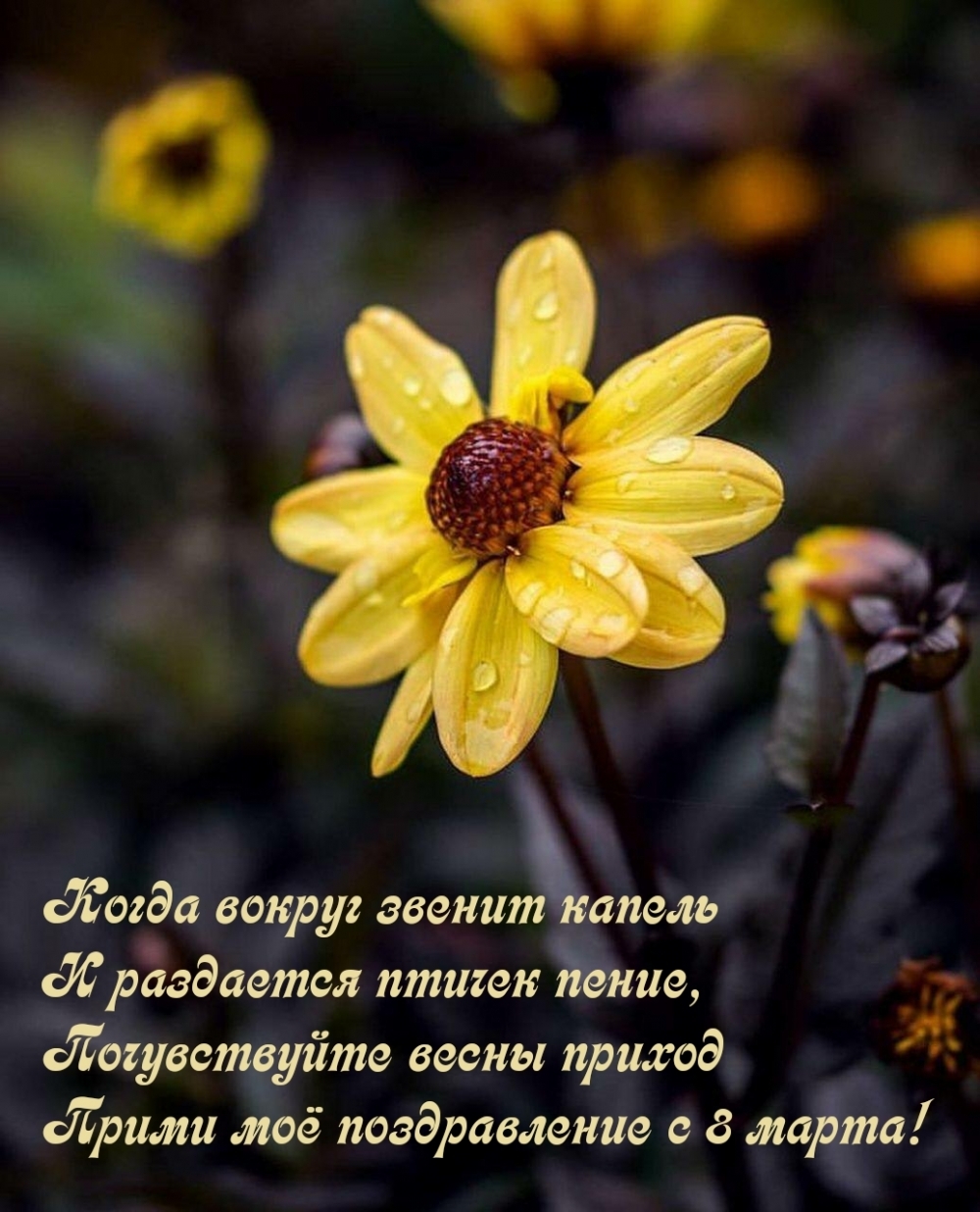 �������� � ��������: ����� �� ������������ � 8 �����!