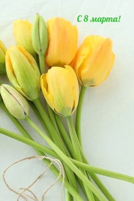 �������� � ��������: � 8 �����! � ������� ����������