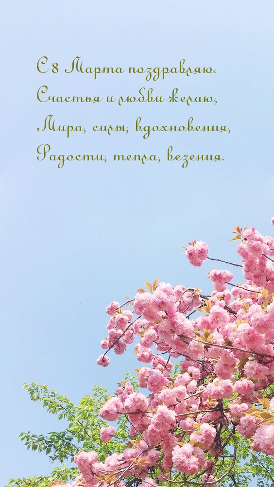 �������� � ��������: � 8 ����� ����������! ������� � ����� �����