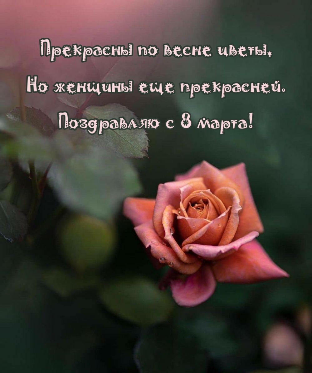 �������� � ��������: ���������� � 8 �����! ��������� �� ����� �����