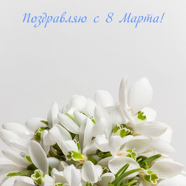 �������� � ��������: ���������� � 8 �����!