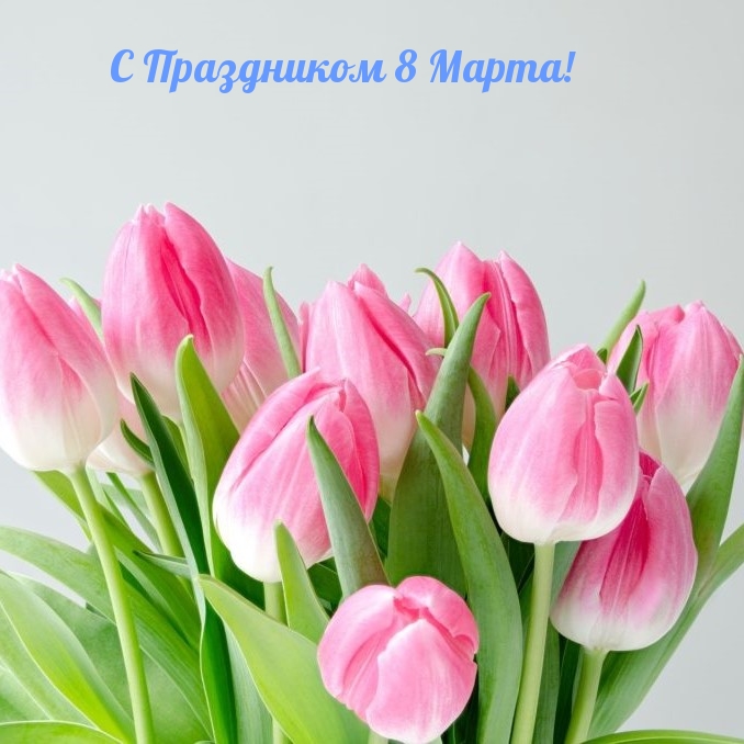 �������� � ��������: � ���������� 8 �����!