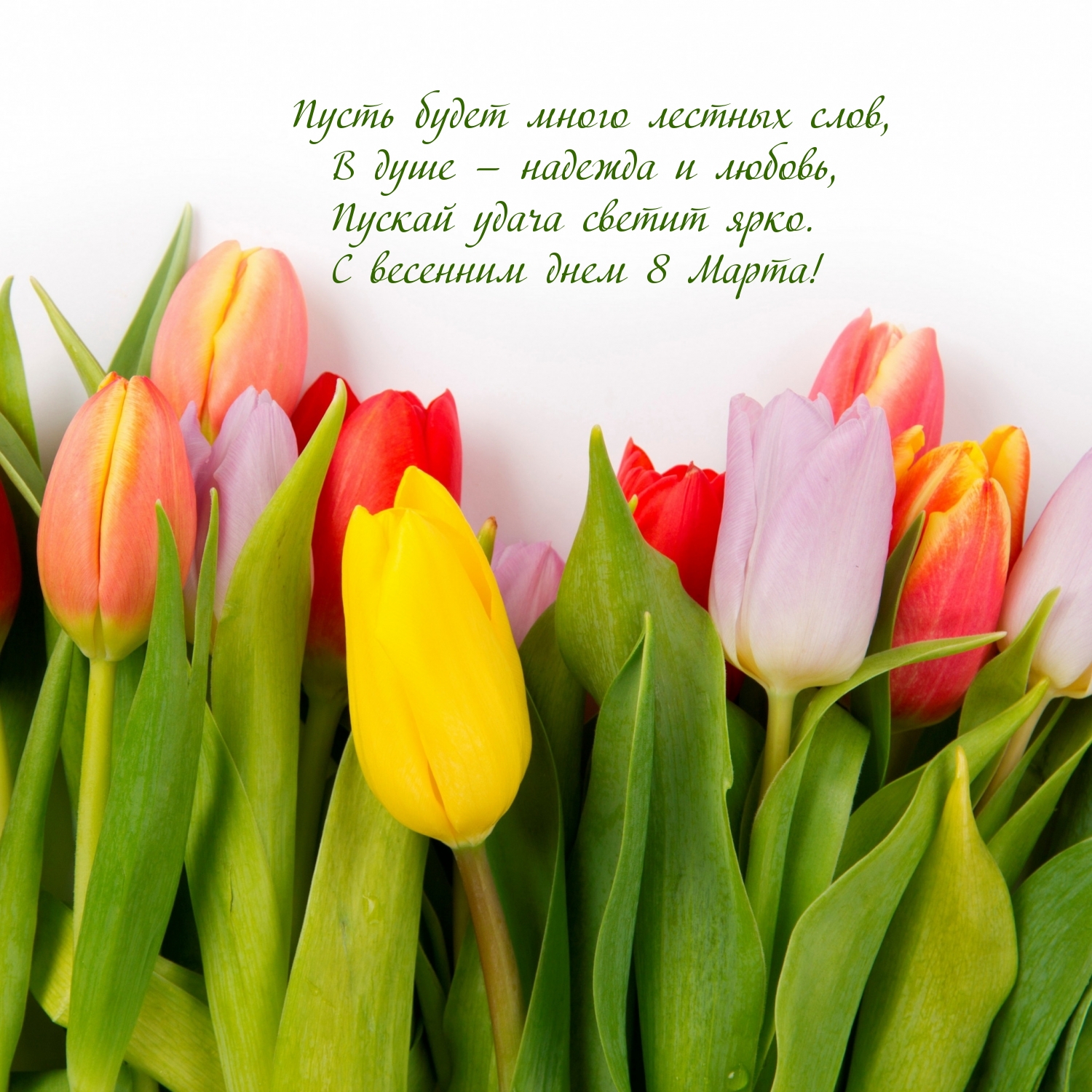 �������� � ��������: ����� ����� ����� ������� ����! � �������� ���� 8 �����!