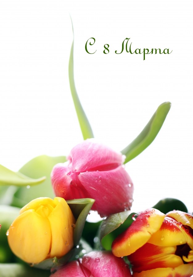 �������� � ��������: � 8 �����