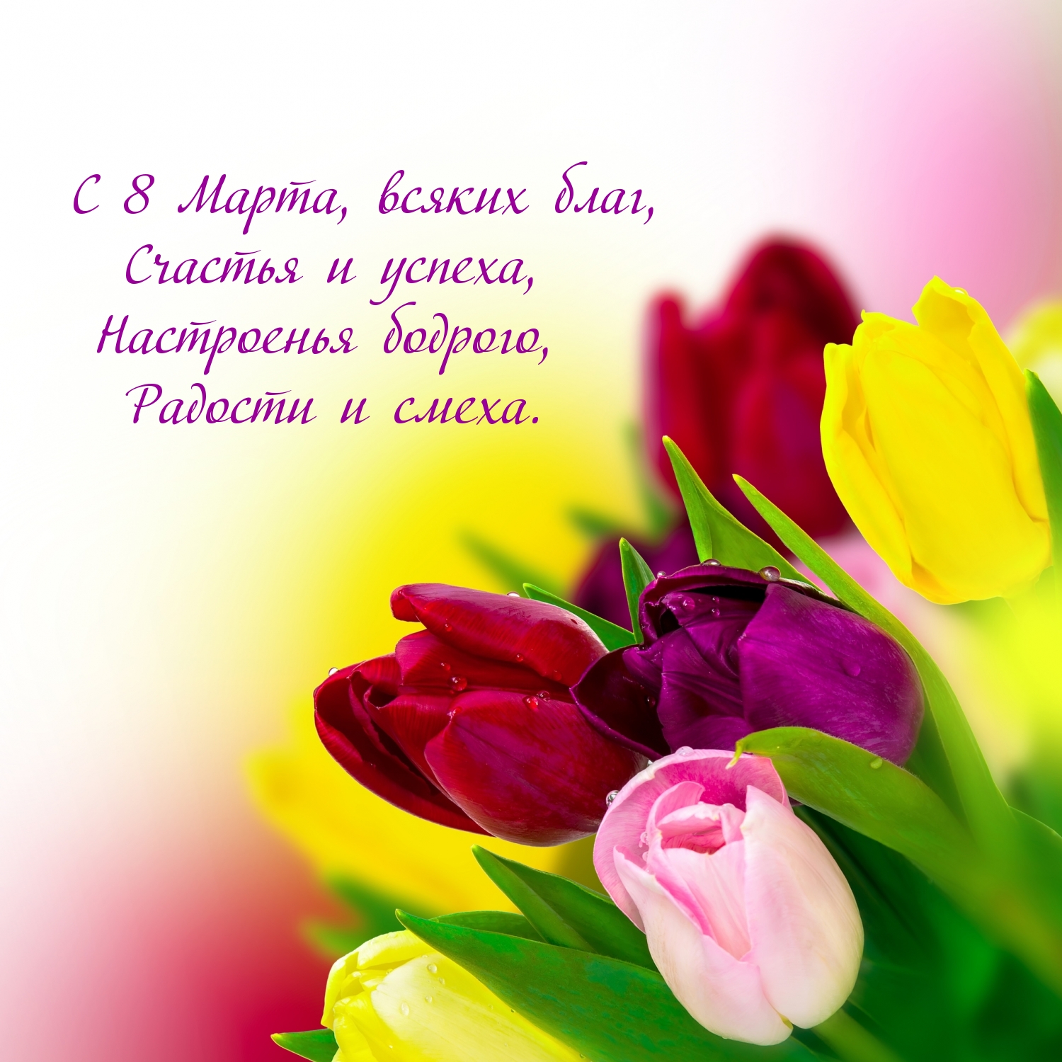 �������� � ��������: � 8 �����, ������ ����, ������� � ������!