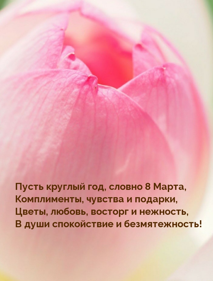 �������� � ��������: ����� ������� ���, ������ 8 �����!