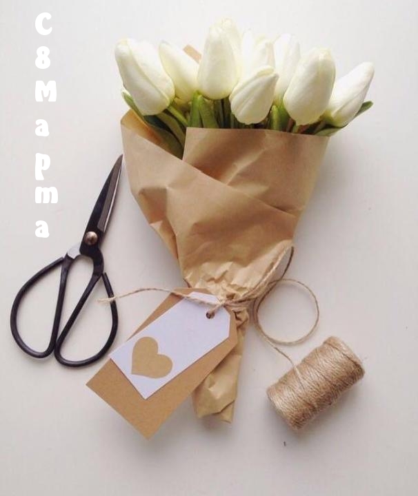 �������� � ��������: � 8 � � � � �