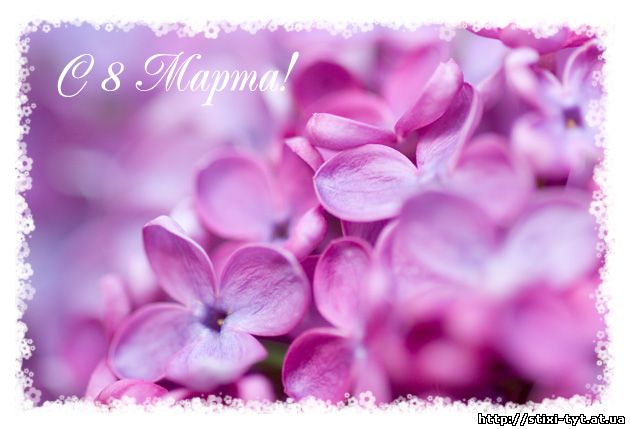 �������� � ��������: � 8 �����!