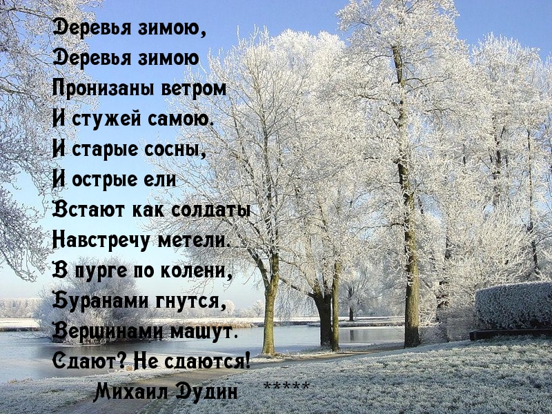 Последний снег стихотворения. Деревья зимой стих. Зимние стихи. Стихи о зимних деревьях. Стихотворение деревья зимою.