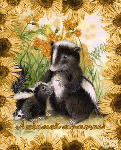 �������� � ��������: ������� �������  - ���������� �����