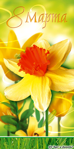 �������� � ��������: 8 �����  - ���������� �������