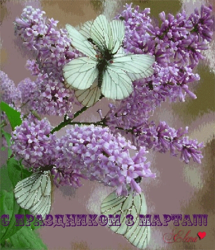 �������� � ��������: � ���������� 8 �����!!!