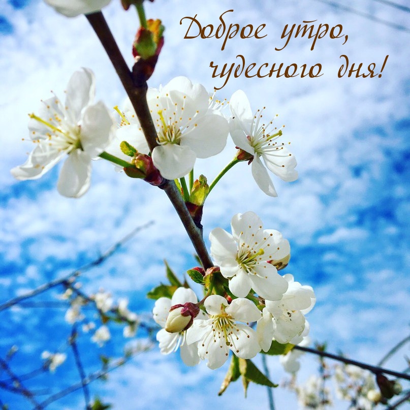 https://imagetext2.ru/pics_max/imagetext_ru_22837.jpg