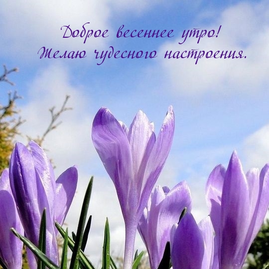 https://imagetext2.ru/pics_max/imagetext_ru_24183.jpg