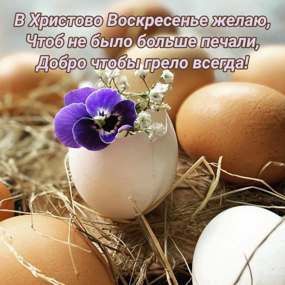   :    ,     