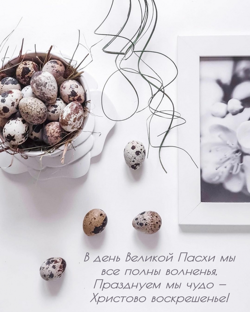 Картинка с надписью: Празднуем мы чудо — Христово воскрешенье!