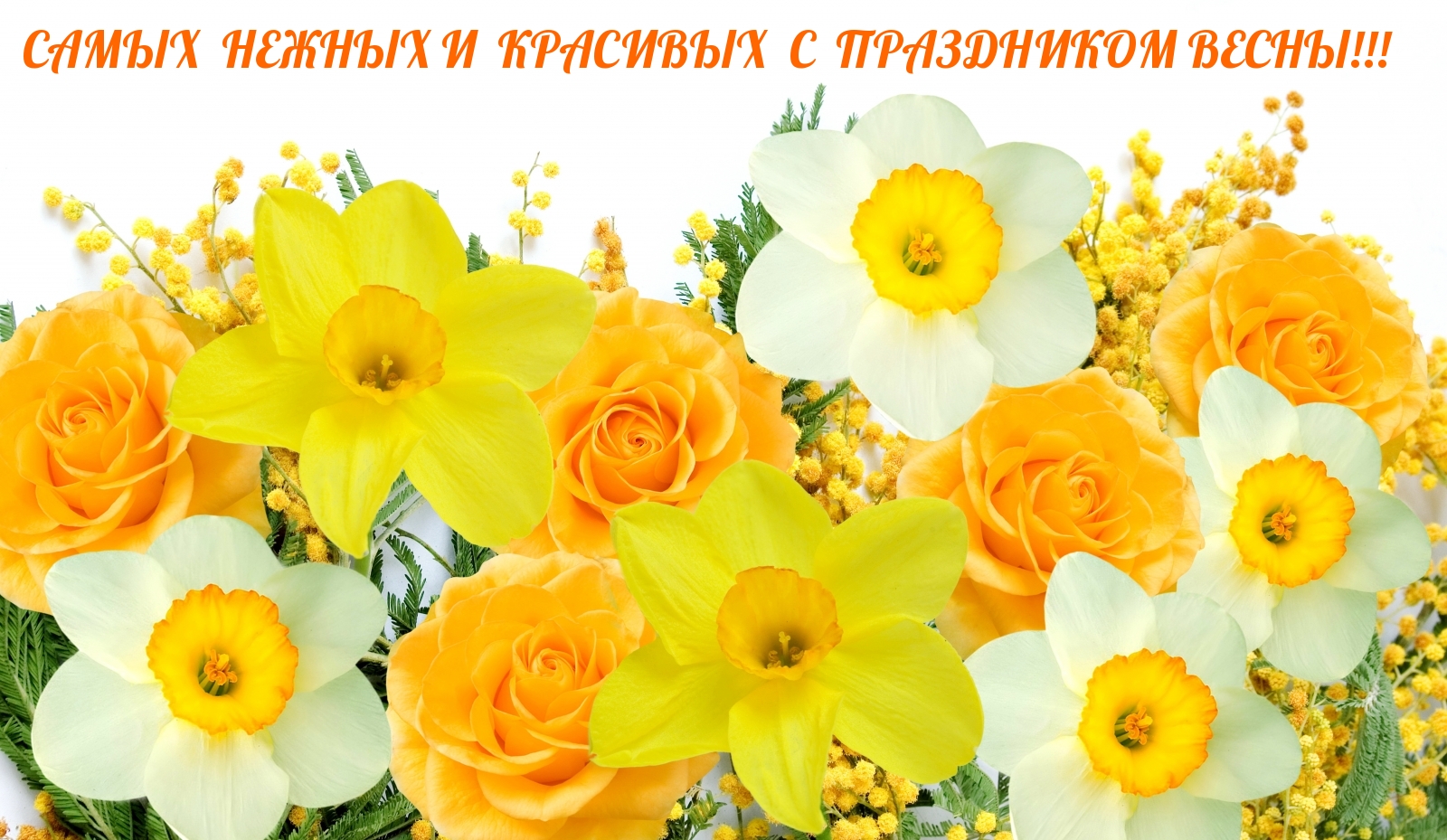 �������� � ��������: ����� ������ � �������� � ���������� �����!