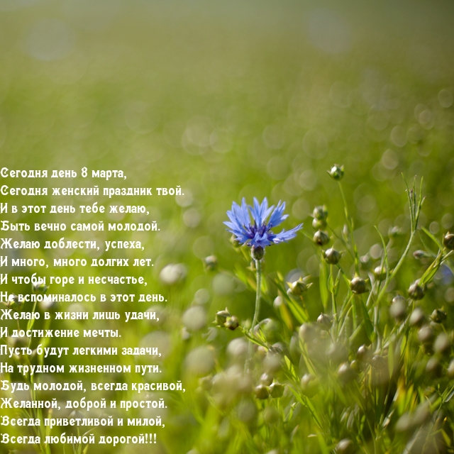 �������� � ��������: ������� ���� 8 �����, ������� ������� �������� ����