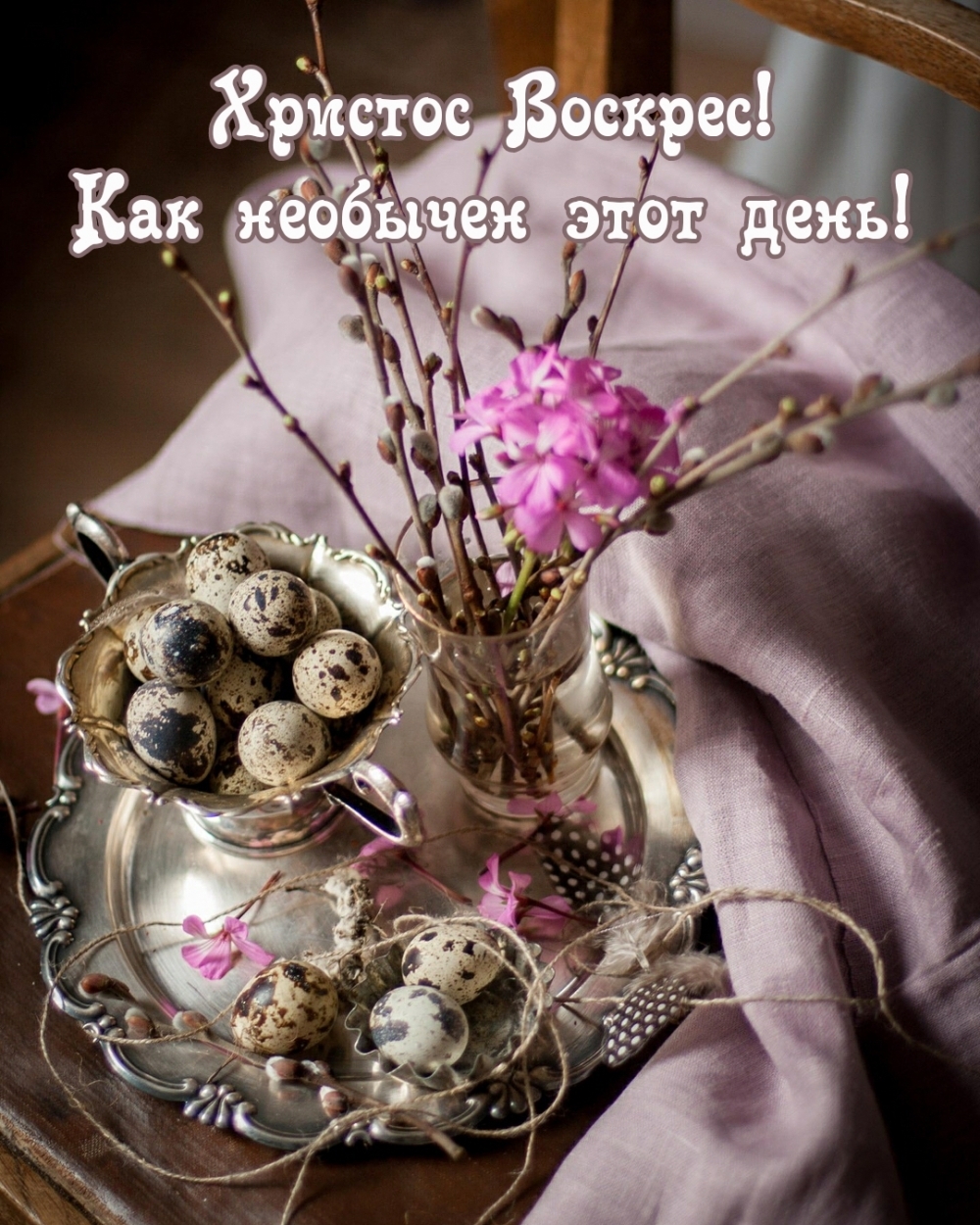 �������� � ��������: ������� �������! ��� �������� ���� ����!