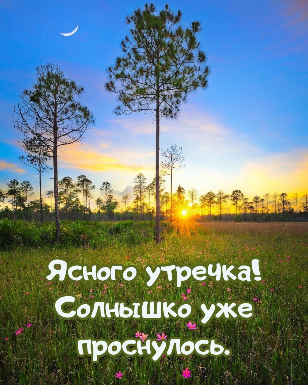 Ясное утро. Ясного утречка. С добрым утром хорошего дня необычные. С добрым утречком солнышко. Доброе летнее утро солнышко с надписью.