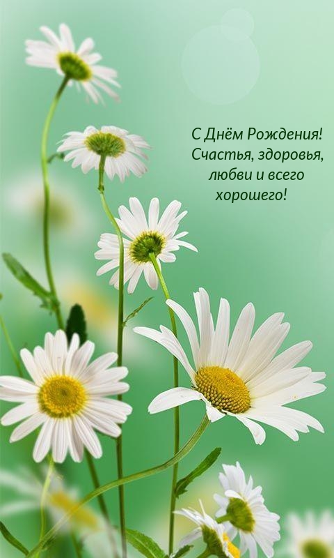 gif для whatsapp с днем рождения. Смотреть фото gif для whatsapp с днем рождения. Смотреть картинку gif для whatsapp с днем рождения. Картинка про gif для whatsapp с днем рождения. Фото gif для whatsapp с днем рождения