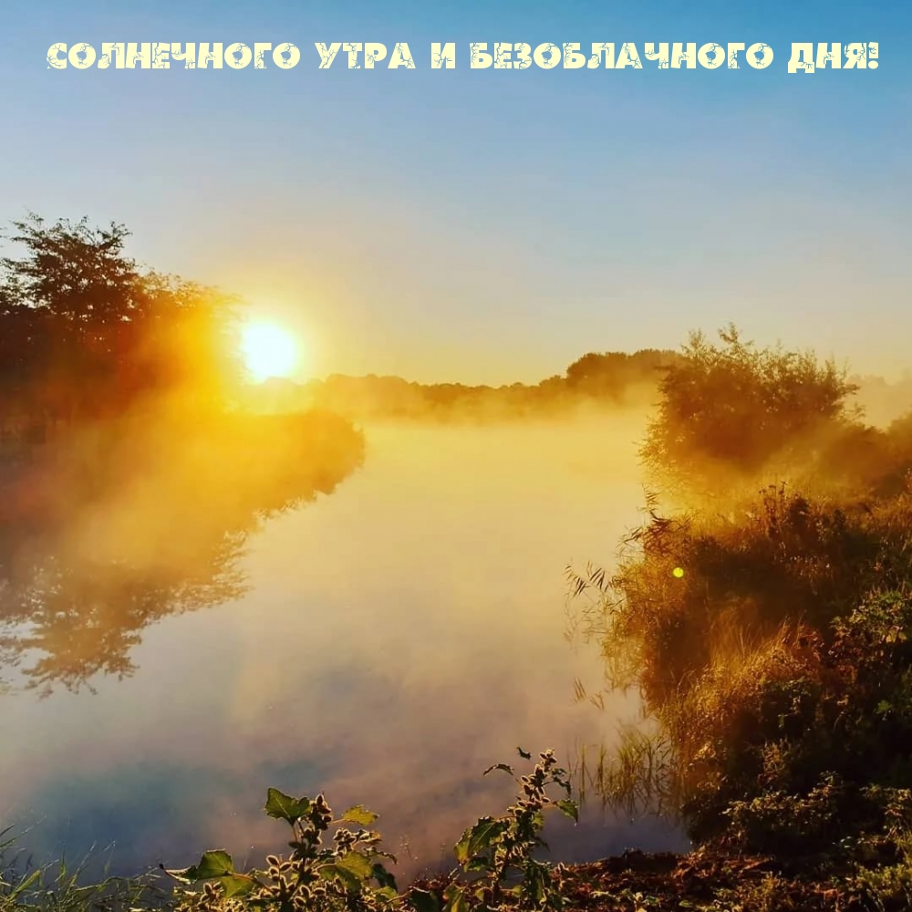 Ясное утро. Солнечное утро. Утро солнце. Доброе утро солнце. Доброе солнечное утро.