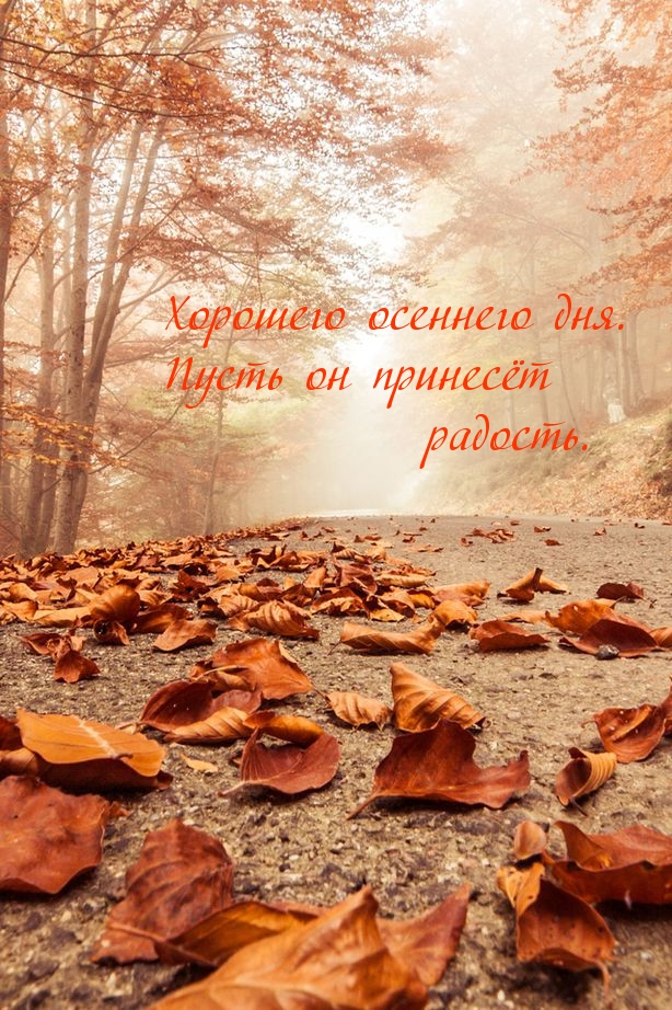 Фото Хорошего Осеннего Дня