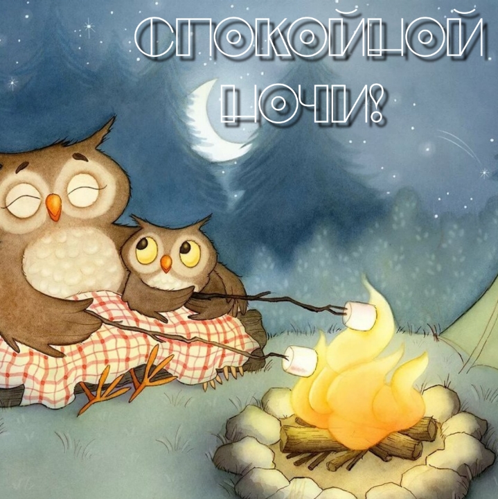 Спокойной ночи осень. Спокойной уютной осенней ночи. Спокойной ночи осенние котики. Спокойной ночи сладких снов с птичками. Добрый вечер с совушкой.