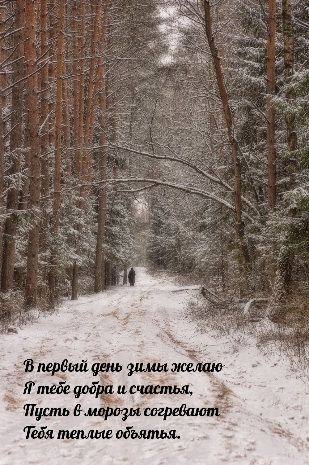 Фото Первых Дней Зимы