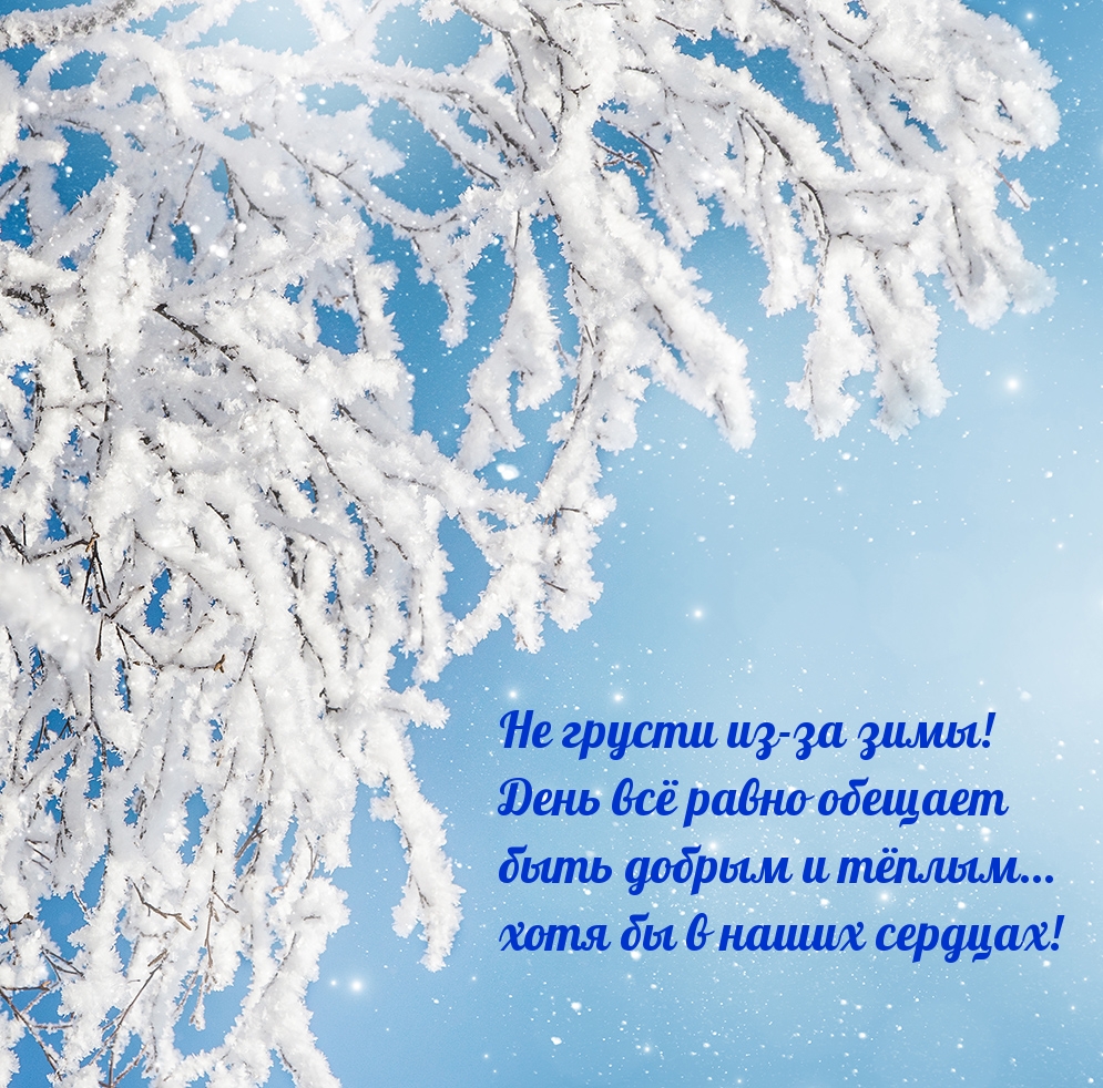 Какую зиму обещают в этом
