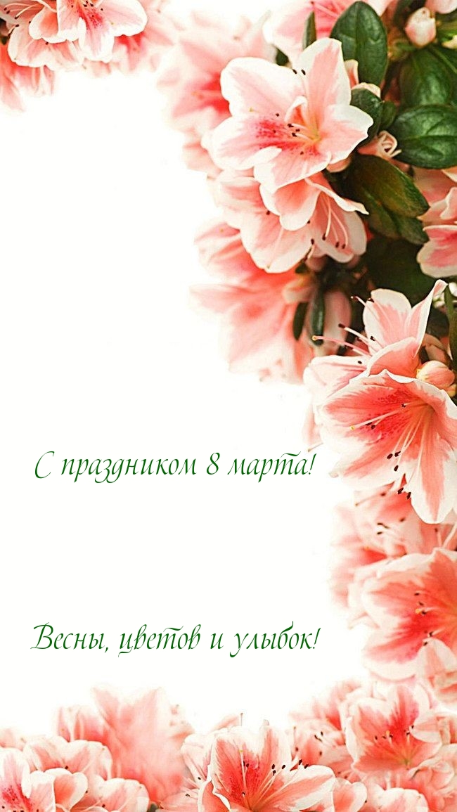 �������� � ��������: � ���������� 8 �����! �����, ������ � ������!