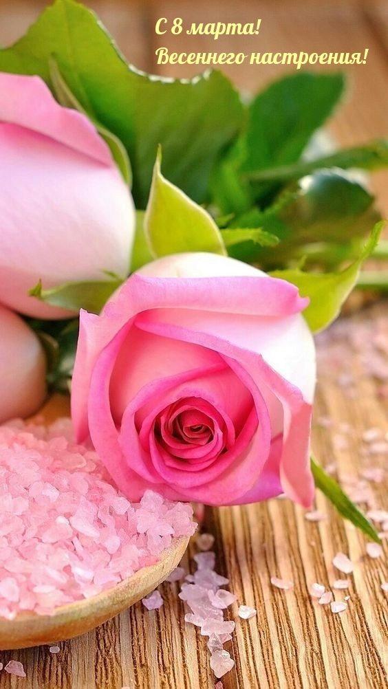 �������� � ��������: � 8 �����! ��������� ����������!