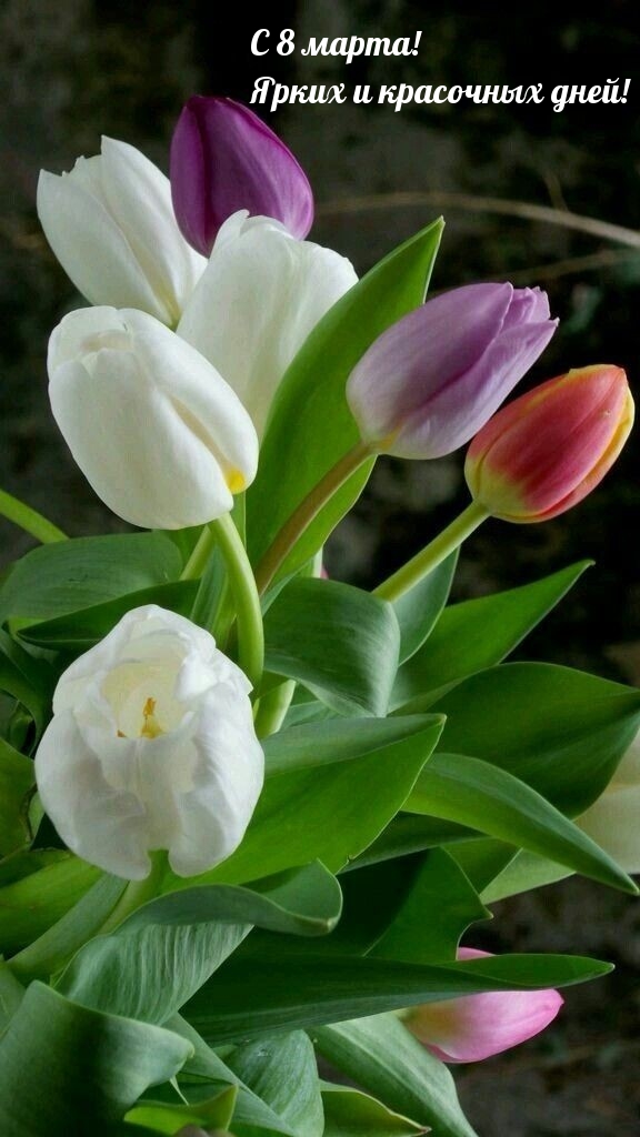 �������� � ��������: � 8 �����! ����� � ��������� ����!