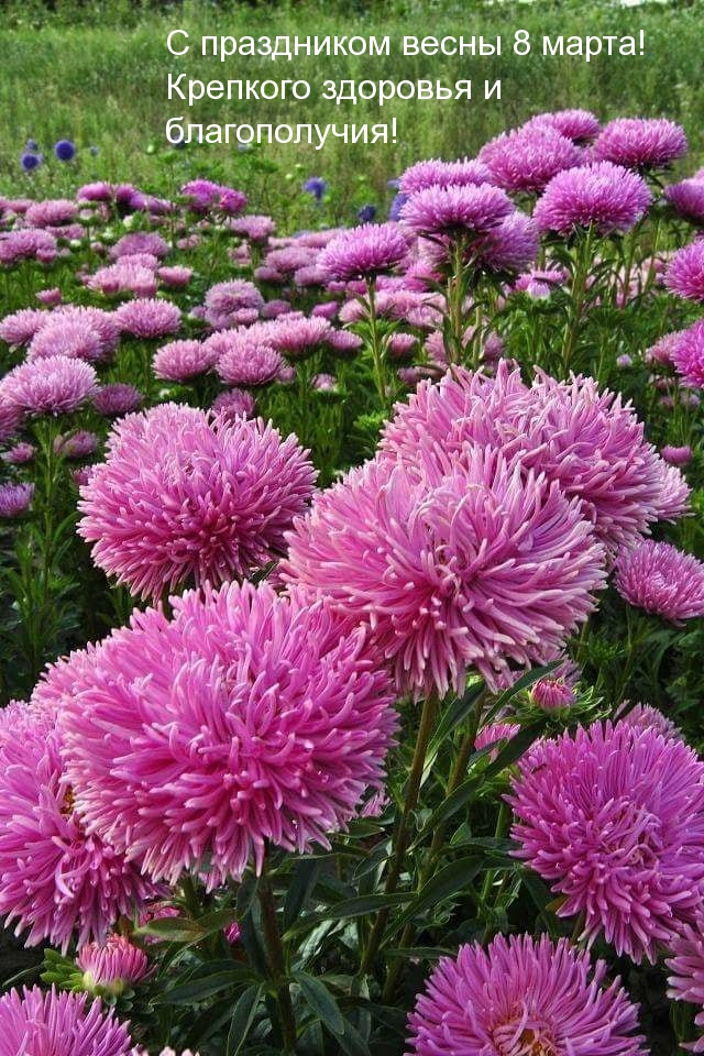 �������� � ��������: � ���������� ����� 8 �����! �������� �������� � ������������!