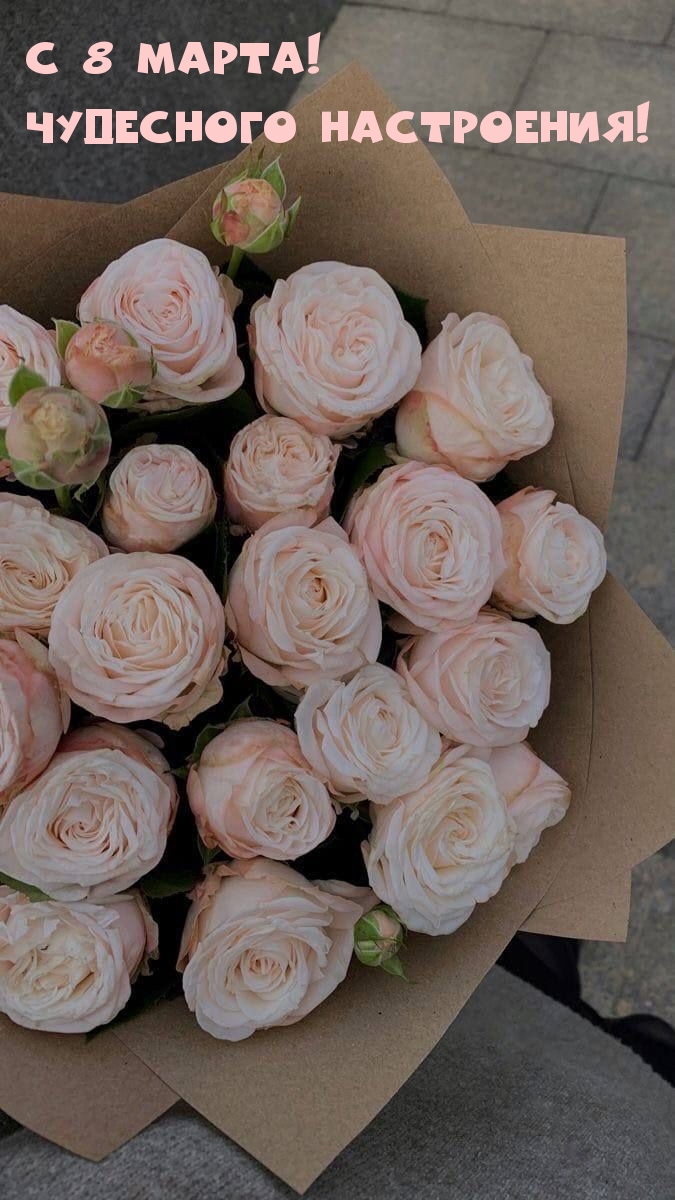 �������� � ��������: � 8 �����! ��������� ����������!