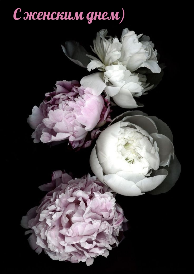 �������� � ��������: � ������� ����)