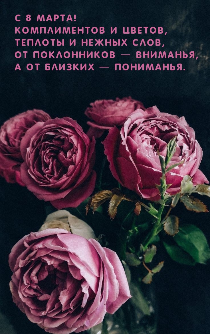 �������� � ��������: � 8 �����! ������������ � ������