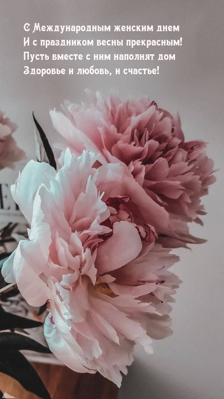 �������� � ��������: � ������������� ������� ����